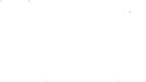 Meet your Posher, Lacey